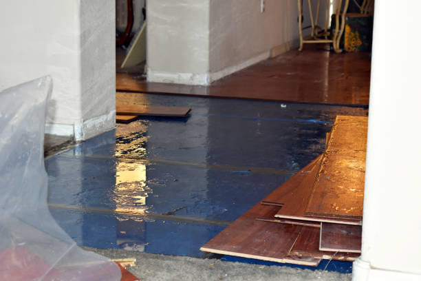 Professional Flood Cleanup technician working in Fairview, OH